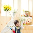 홍당무그린스튜디오 이미지