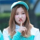 립버블 카카오 검색결과