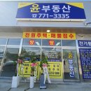 백안전기 이미지