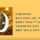 미라클 테라피