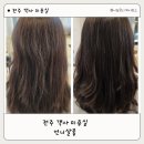 스파오전주객사점 | 전주 미용실 전주 객사 미용실 전주 언니살롱