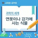 강가에.... 이미지