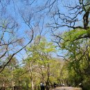 산아래 집밥 이미지