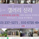 신라나염