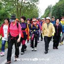 걷고 기도하고 묵상하며 순교 성인 신앙 되새겨 이미지