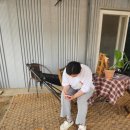 교동농장 | 교동앵무새힐링농장 총명하고 애정 많은 아마존앵무새가 있는 자연 체험농장