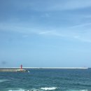 묵호 혼여행 일기 - 열정은 풀악셀, 인생은 중립기어