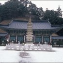 명호민박 이미지