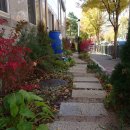 일동 청소년문화의집 이미지