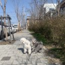 제부로 L | 틈틈이 사랑하고 바쁘게 지낸 3월 🫧🎂