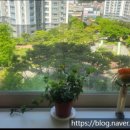 신리공인중개사사무소 이미지