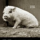 우리소2농장 이미지