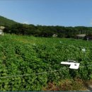 영일공인중개사사무소 이미지