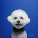 윤다방카페디저트