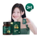 황금축사 | 황금이네 자연방목 흑염소진액 엑기스 흑염소즙 100ml 30포