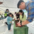 김종성농장 이미지