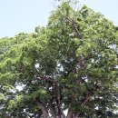 마산삼진중학교 이미지