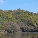 정곡상지 이미지