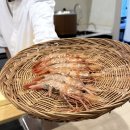 스시도키 | 뚝섬역 오마카세 추천｜연말에 다녀온 스시도키 디너 후기