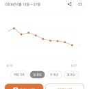 (주)맛요일 | B15. 마운자로 증량 할까? _마운자로 2주차 후기_(효과, 증량, 부작용, 주사맞는 요일, 몸무게)