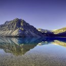 자연의꿈 이미지