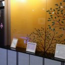 수앤수안마원 이미지