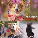 ‘궁금한 이야기 Y’ 각종 의혹 중심, 백호누나 논란 7일 공개 이미지