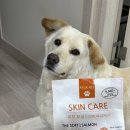 이가소프트 | 꾹펫 스킨케어 소프트 사료 연어 피부모질 강아지사료 후기