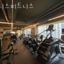 윌경로당 | 신호동헬스장 강서헬스 PT 피티 웰니스피트니스 가격 위치 리뷰