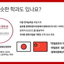달의 꿈 | 달꿈 스터디 콘서트/학과 멘토링(대학생 멘토단) 후기