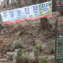 이화농원 이미지