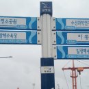 세파에 따르지 이미지