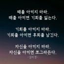 초록나무 이미지