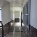 수송비발디공인중개사사무소 | #군산시 수송동 한라비발디앞 상권 다가구건물 원룸건물 상가주택 매매