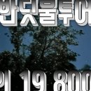 투어투어