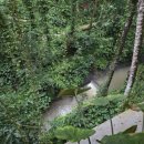 고피자(GO PIZZA) 마포구청점 | [발리 우붓 3박5일] ⑥ 2일차 - 아비세나 리조트 힐링데이 &amp; 우붓 시내 쇼핑투어 (아사이퀸,데우스,티켓...