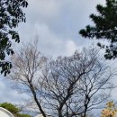 알앤비타운 이미지