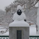 송설로 이미지
