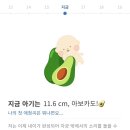 올리브병원 이미지