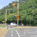 태화초교 이미지