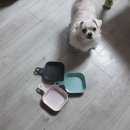 엔픽(N-peak) 이미지