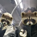 가은호프 이미지