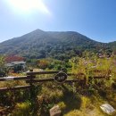 497정원 이미지