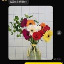 남대문 꽃 시장 스승의날 카네이션