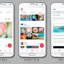 디자인UD 이미지