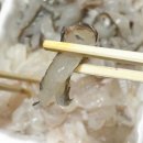 감포해산물 | [감포맛집] 부부수산 경주 감포횟집, 모듬회와 해산물 2인 세트 포장 후기