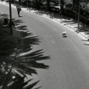 고성작은동물병원 이미지