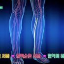전신순환 필라테스 이미지