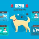 오산25시종합동물병원 | 오산시 2026년 상반기 <광견병 예방접종 실시 계획> 안내
