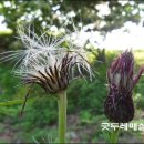 밤산농원 네이버블로그